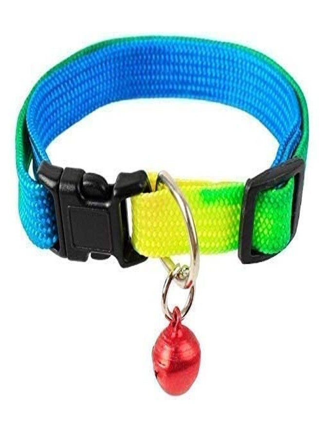 Pups&Pets طقم مقود وحزام قابل للتعديل من النايلون 15 مم للجراء من Pups&Pets + طوق بألوان قوس قزح مع جرس للجراء والكلاب الصغيرة - Image 3